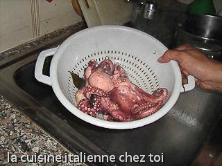 préparer poulpes
